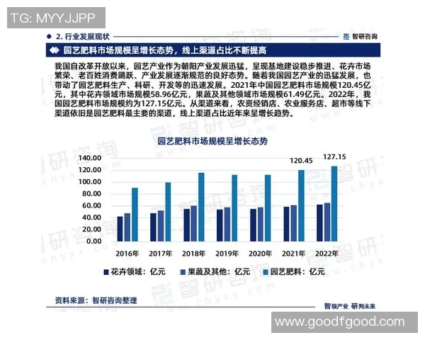 权威发布：2023年和平精英技术实力排行榜全面解析与深度分析